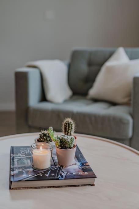 In Centre Apartment *